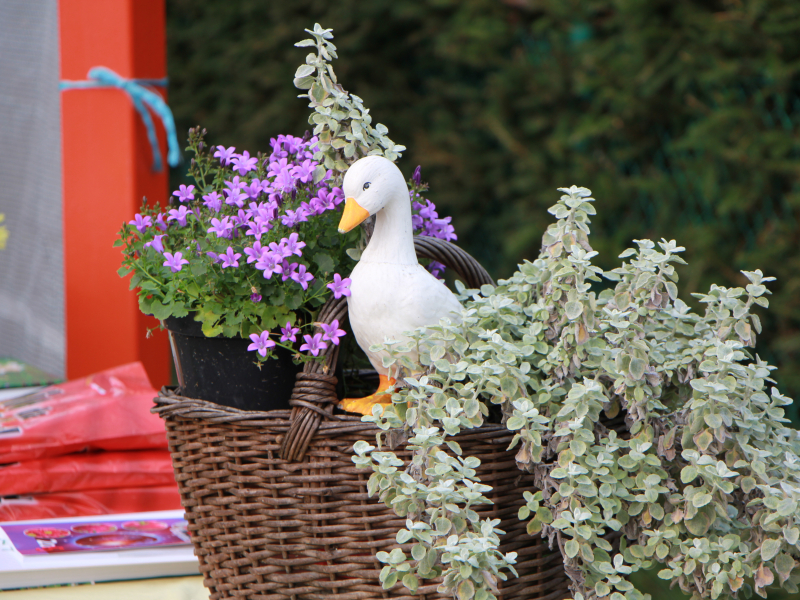 dozynki_2014_002