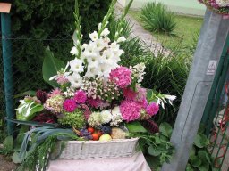 dzien_dzialkowca_rod_malwa_2013_006